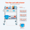 VEVOR Service Cart, 2 Layers Stainless Steel Utility Rolling Cart, Medical Cart with Two Drawers, Dental Utility Cart with Lockable Wheels and A Bucket, Ideal for Laboratory, Hospital, Dental Use