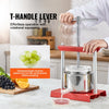 VEVOR Fruit Wine Press, 0.88 Gallon/3.36L, 2 Stainless Steel Barrels, Manual Juice Maker, Cider Apple Grape Tincture Vegetables Honey Olive Oil Making Press with T-Handle for Outdoor, Kitchen and Home