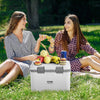VEVOR Portable Cooler, 21 QT Hard Cooler with Ice Retention, Heavy-Duty Handles and Strap, Lightweight Rigid Material Insulated Portable Cooler, Suitable for Family Picnics and Short Trips