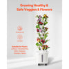 VEVOR Hydroponic Growing System, 50 Pods Vertical 10 Tiers Hydroponic Tower, Rolling Hydronic Garden with Water Pump & Wheels, Indoor Plants Germination Kit for Herbs Fruits & Vegetables