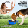 VEVOR Dog Agility Training Equipment, 5 PCS Set with Adjustable High Hurdles,6 Weave Poles, Tunnel, Jump Ring, Pause Box, Whistle, Foldable Bowl, Puppy Obstacle Course Kit with Storage Bags