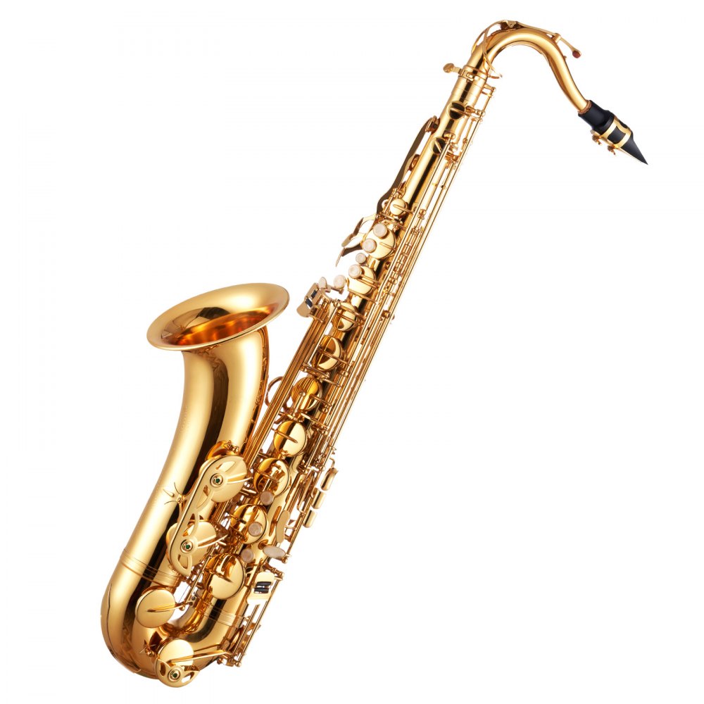 VEVOR Tenor Saxophone, B Flat, Professional Brass Saxophone Beginner Kit with Carrying Case, Mouthpiece, Straps, Cleaning Cloth, Gloves, Neck Strap, 23 Keys Tenor Sax Kit, for Beginners Students, Gold