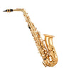 VEVOR Alto Saxophone, E Flat, Brass Saxophone Beginner Kit with Carrying Case, Mouthpiece, Straps, Cleaning Cloth Rod, Gloves, Grease, Neck Strap, 23 Keys Alto Sax Kit, for Beginners Students, Gold