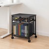 VEVOR Rolling File Cart 2-Tier Mobile Filing Cabinet with Wheels Drawers, for Home Office, Large Storage Capacity, Hanging File Folder Organizer, Easy Mobility, with 45 lbs / 20.5 kg Load, Black