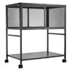 VEVOR Rolling File Cart 2-Tier Mobile Filing Cabinet with Lockable Wheels, for Home Office, Large Storage Capacity, Hanging File Folder Organizer, Easy Mobility, with 60 lbs / 27.2 kg Load, Black