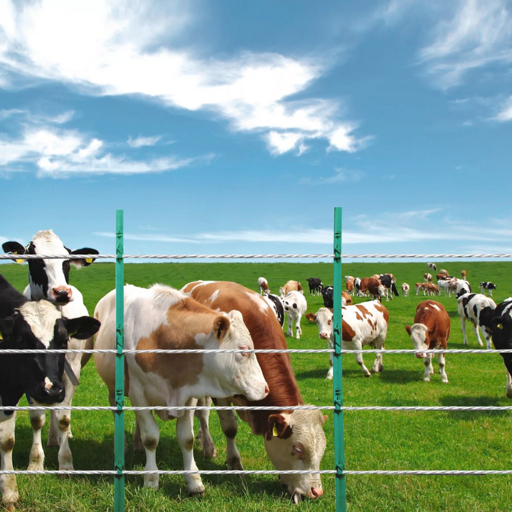 VEVOR Electric Fence Wire, 656Ft 200M Portable Polywire, 1/4" Diameter 6 Stainless Steel Strands for Reliable Conductivity and UV, Rust Resistance, Fencing Rope Line for Horse, Cattle, Livestock