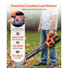 VEVOR Cordless Leaf Blower, 20V Powerful Electric Leaf Blower with 2.0Ah Battery, Fast Charging & Quiet Operation, 2 Speed Control, 450 CFM/110 MPH Lightweight Powered Blowers for Leaves Lawn Care