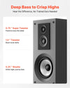 VEVOR floorstanding speaker driver details (deep bass to crisp highs)