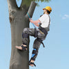 VEVOR Tree Climbing Spikes, Height-Adjustable Tree Climbing Gear with Straps & Padding Cushion, 350 lbs Load Capacity, Heavy Duty Steel Climb Spurs Arborist Equipment for Fruit Picking Hunting