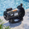 VEVOR Booster Pump 1.5 HP 40 GPM ODP Motor for Pressure Side Pool Cleaners, AC 120V Pool Booster Pump, 140 ft Max Head, NPT 3/4 in Inlet/Outlet, Wide Compatibility, Quick Connect Easy Installation