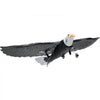VEVOR RC Plane, 2.4GHZ 2 Channel Remote Control Airplane with 6-Axis Gyro Stabilizer, Ready to Fly Eagle Aircraft Plane Toy with 2 Batteries, Easy to Fly RC Glider for Adults Kids Beginners Boys Girls