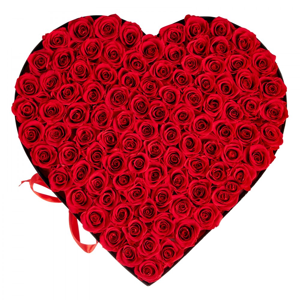 VEVOR Forever Flowers, 100 Preserved Roses in a Heart Shape Box, Eternal Flowers Immortal Bouquet Birthday Present for Women Her Wife Mothers, Anniversary, Valentine's Day,Christmas, Red