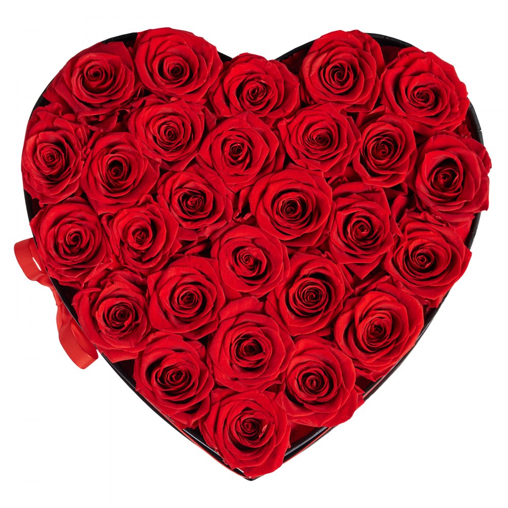 VEVOR Forever Flowers, 27 Preserved Roses in a Heart Shape Box, Eternal Flowers Immortal Bouquet Birthday Present for Delivery Prime Women Her Wife Mothers, Anniversary, Valentine's Day,Christmas, Red