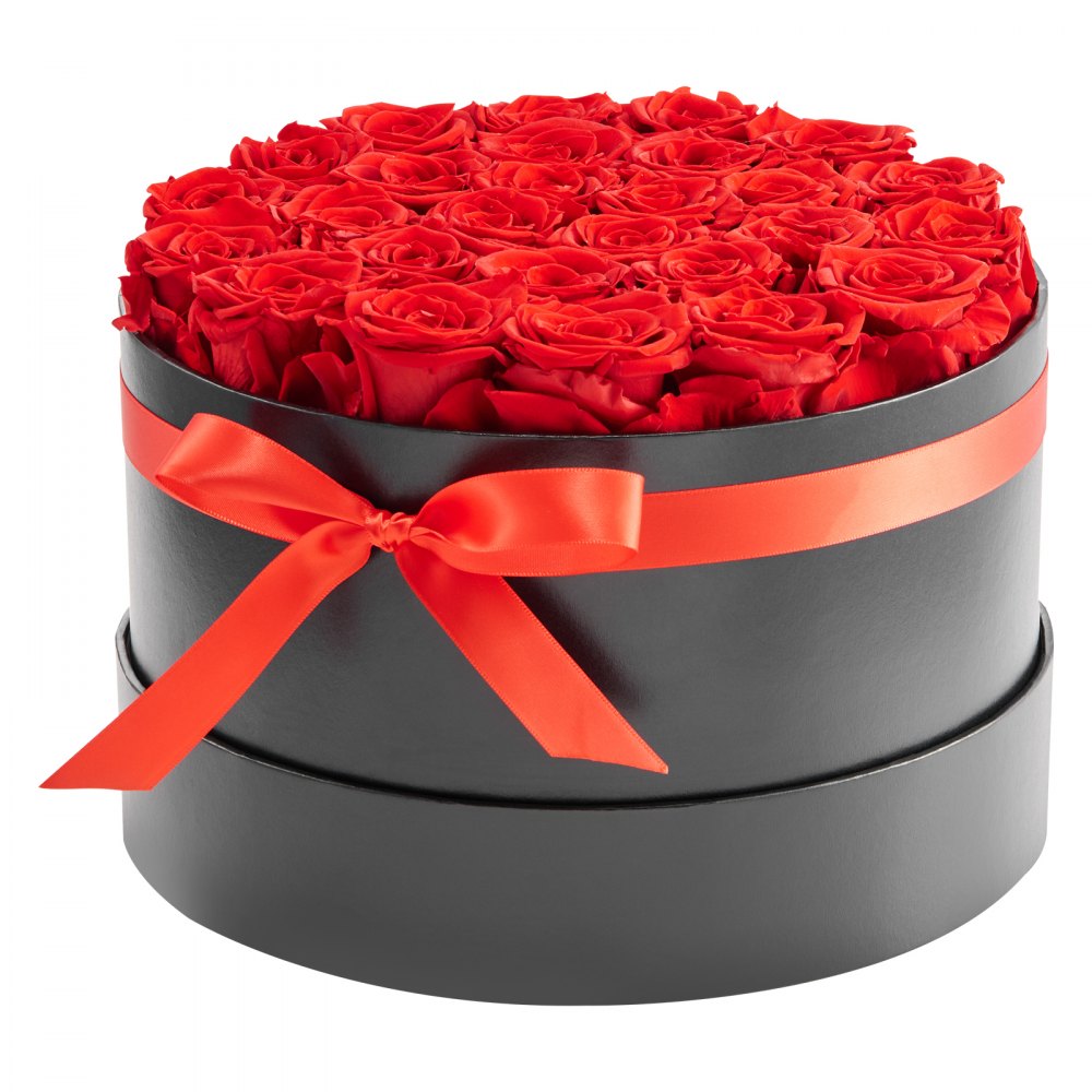 VEVOR Forever Flowers, 27 Preserved Roses in a Box, Eternal Flowers Immortal Bouquet Birthday Present for Delivery Prime Women Her Wife Mothers, Anniversary, Valentine's Day,Christmas, Red
