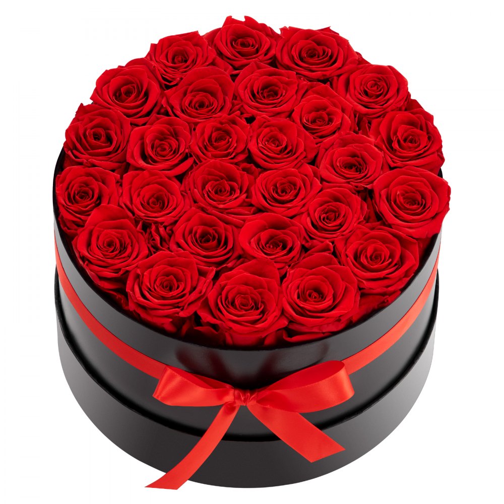 VEVOR Forever Flowers, 27 Preserved Roses in a Box, Eternal Flowers Immortal Bouquet Birthday Present for Delivery Prime Women Her Wife Mothers, Anniversary, Valentine's Day,Christmas, Red
