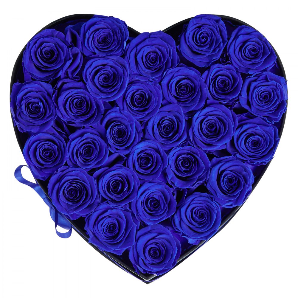 VEVOR Forever Flowers, 27 Preserved Roses in a Heart Shape Box, Eternal Flowers Immortal Bouquet Birthday Present for Women Her Wife Mothers, Anniversary, Valentine's Day,Christmas, Royal Blue