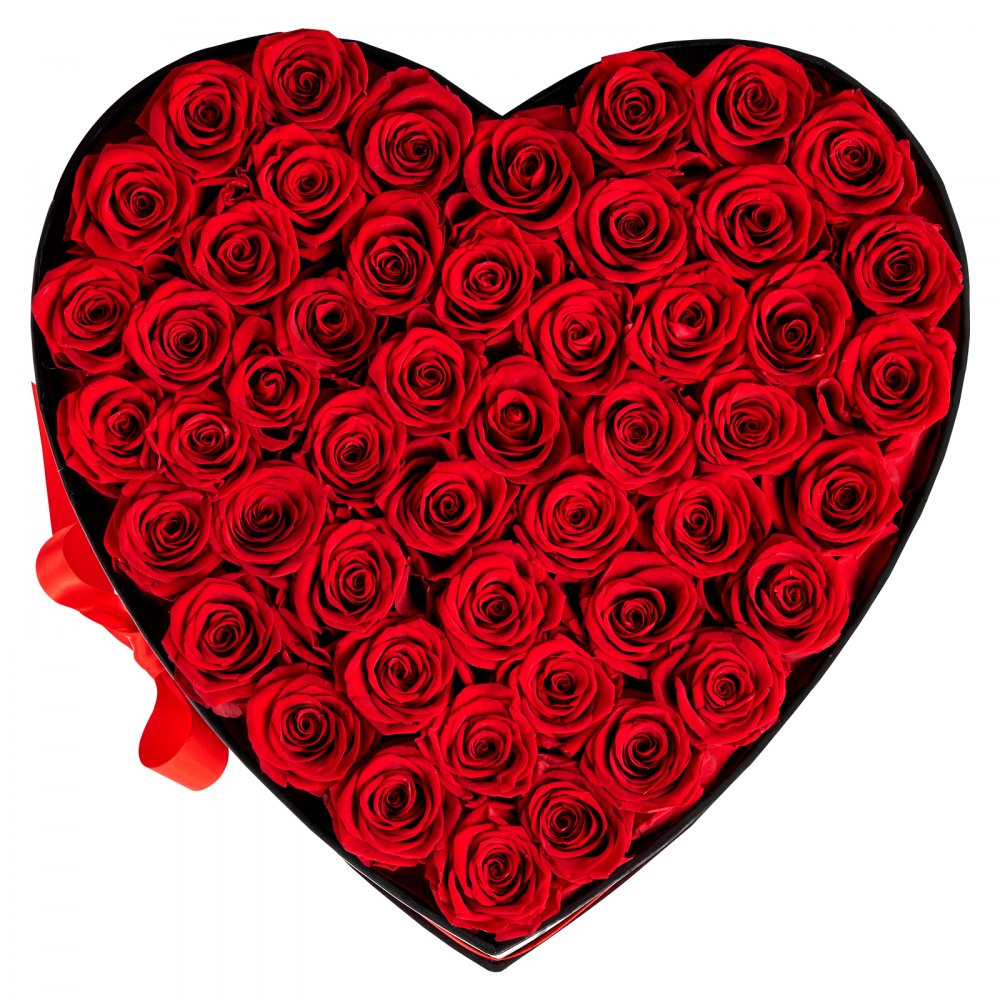 VEVOR Forever Flowers, 50 Preserved Roses in a Heart Shape Box, Eternal Flowers Immortal Bouquet Birthday Present for Delivery Prime Women Her Wife Mothers, Anniversary, Valentine's Day,Christmas, Red