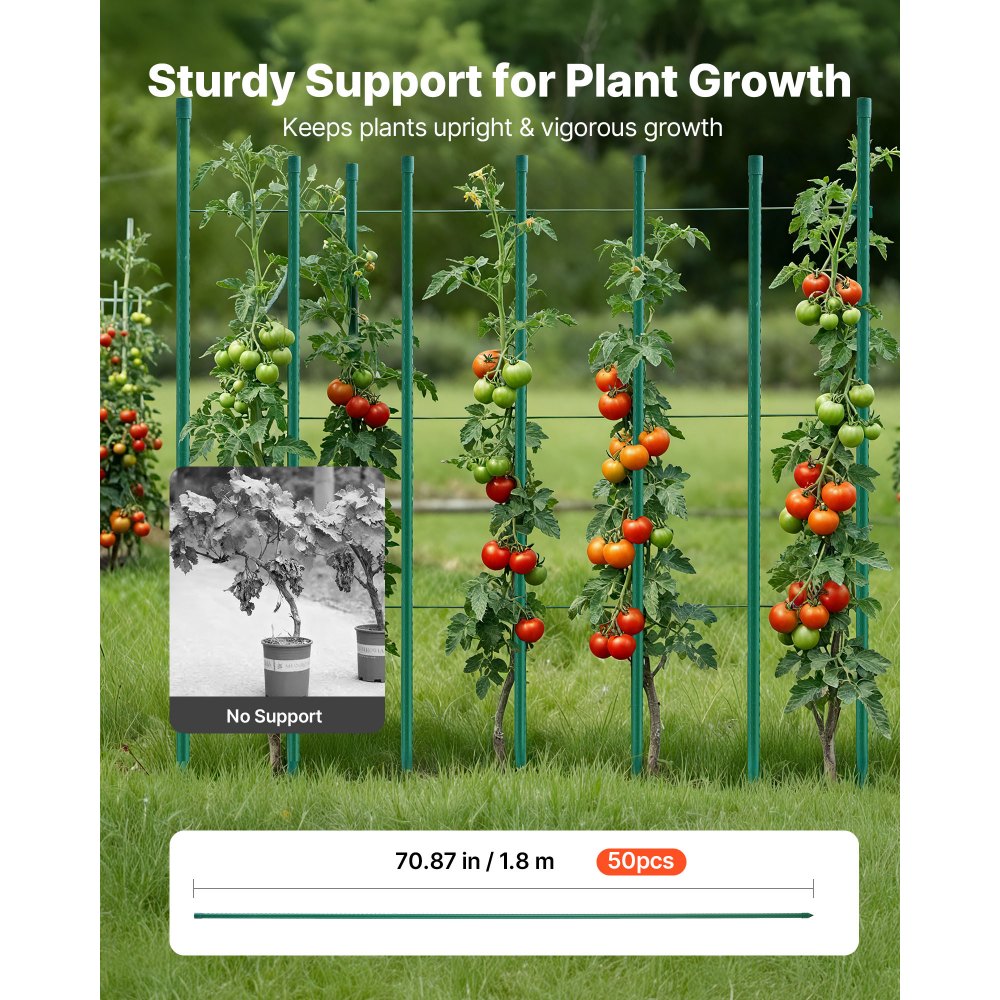 VEVOR Garden Stakes, 50 Pack, 70.87 inch, Plastic Coated Metal Tomato Stakes, Garden Sticks for Plants Support, with Pointed End and Non-Slip Bumps for Growing Climbing Plants, Outdoor Vegetables