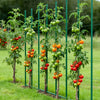 VEVOR Garden Stakes, 50 Pack, 70.87 inch, Plastic Coated Metal Tomato Stakes, Garden Sticks for Plants Support, with Pointed End and Non-Slip Bumps for Growing Climbing Plants, Outdoor Vegetables