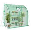 VEVOR Walk-in Green House, 78 x 39.4 x 78.7 in, Greenhouse with Shelves, High Strength PE Cover with Zipper Door and Steel Frame, Assembly in Minutes, Suitable for Planting and Storage