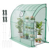 VEVOR Walk-in Green House, 78 x 39.4 x 78.7 in, Greenhouse with Shelves, High Strength PE Cover with Zipper Door and Steel Frame, Assembly in Minutes, Suitable for Planting and Storage
