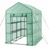 VEVOR Walk-in Green House, 54 x 81.1 x 77.2 in, Greenhouse with Shelves, High Strength PE Cover with Zipper Door and Steel Frame, Assembly in Minutes, Suitable for Planting and Storage