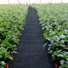 20 year 6x300 ft Heavy Duty PP Woven Weed Barrier Landscape Ground Cover 3.2Oz