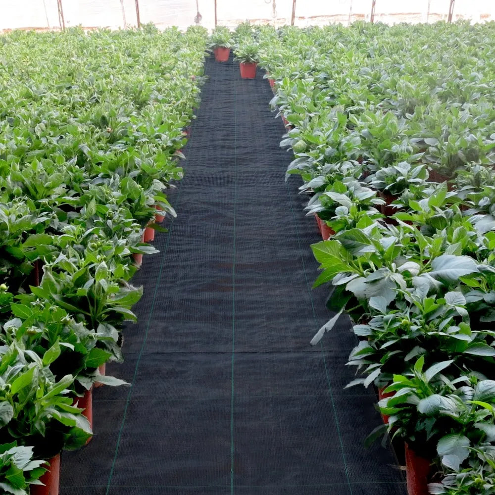 20 year 6x300 ft Heavy Duty PP Woven Weed Barrier Landscape Ground Cover 3.2Oz