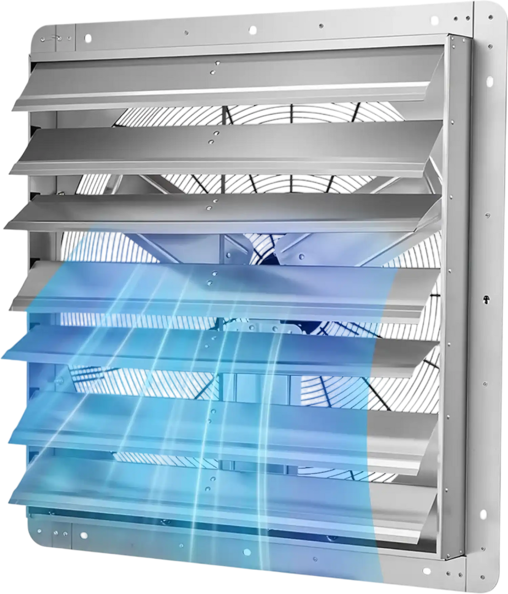 Featured image for product 8200655077565