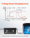 Vevor Lithium Battery Charger 12V 60A LiFePO4 with Anderson Connector New