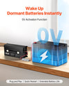 Vevor Lithium Battery Charger 12V 60A LiFePO4 with Anderson Connector New