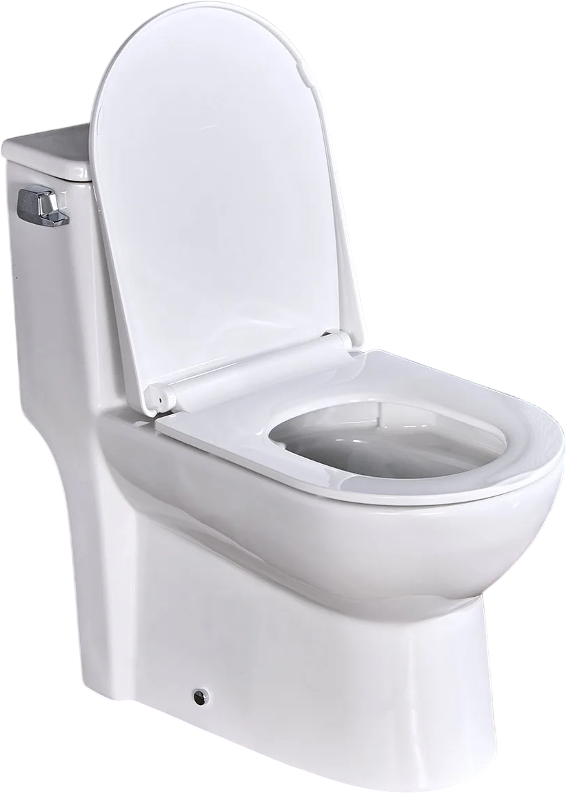 Vevor One-Piece Toilet Elongated 1.28 GPF Left Flush 16 in. Seat Height 12 in. Rough-in New