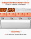 Vevor Commercial Steam Table Propane Food Warmer 4 Pan Independent Temp Control New