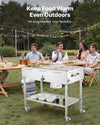 Vevor Food Warmer Steam Table 9-Pan Propane 10,000 BTU Adjustable Temp New