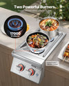 Vevor Double Side Burner 2 x 17,000 BTU Natural Gas and Propane New