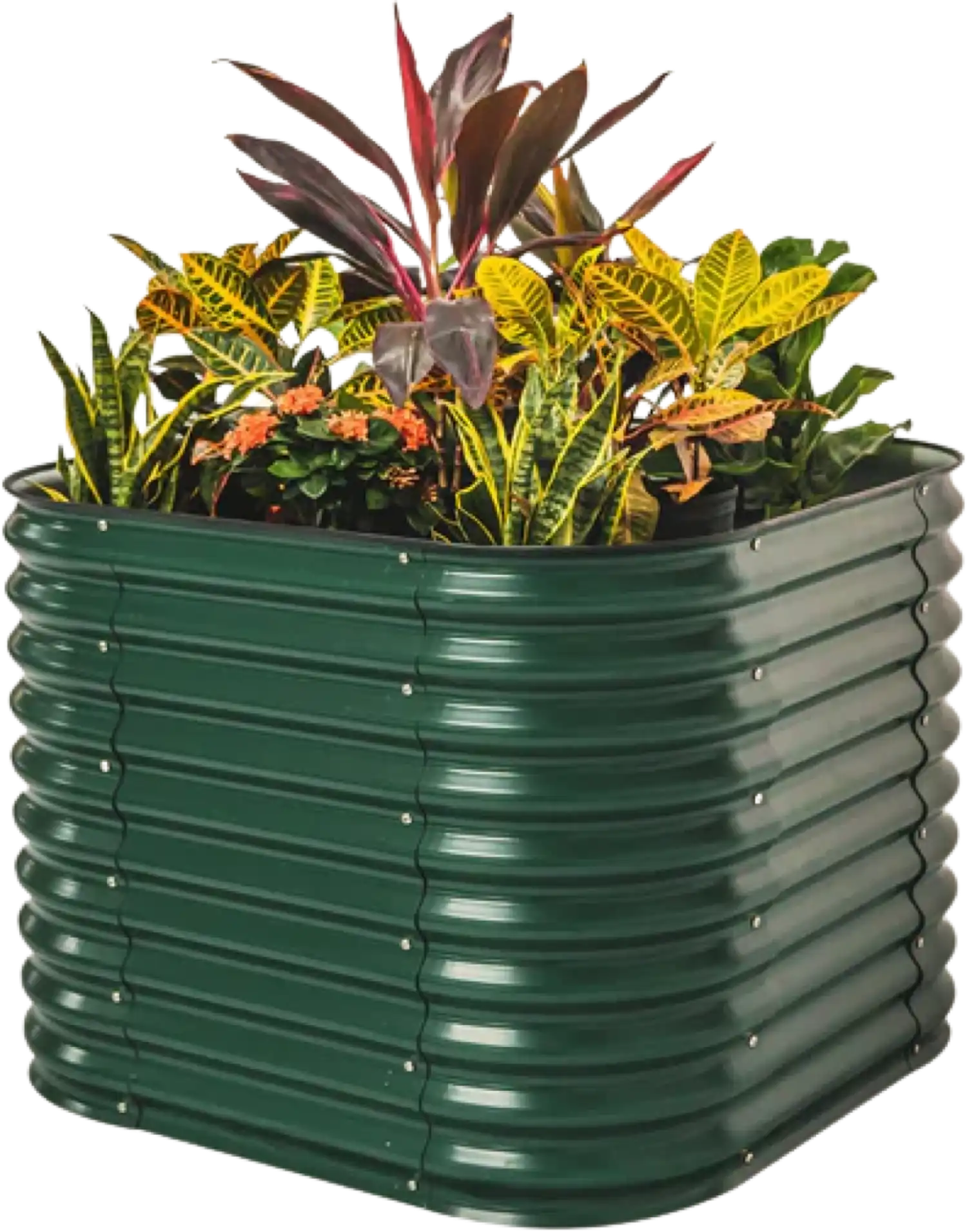 Vego Garden 4-In-1 Modular Raised Garden Bed Kit 32