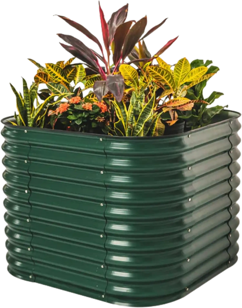 Featured image for product 7854930821309