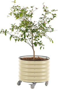 vego-garden-rolling-planter-2x2ft-pearl-white_800x