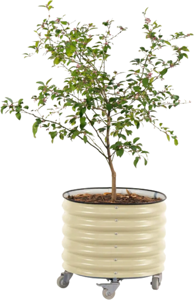 Vego Garden Self-Watering Rolling Planter 2' x 2' New