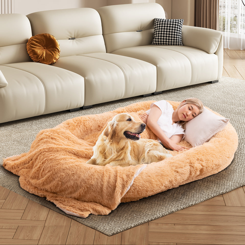 Cozy brown washable fluffy human dog bed with soft blanket and plump pillow, perfect for pet interaction and relaxation.