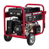 Gentron GG10020 8000W/1000W Electric Start Portable Gas Generator New