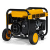 Dewalt DXGNR4000 4000W/4500W Auto Idle CO Protect CARB Generator Manufacturer RFB