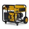 Dewalt DXGNR6500 6500W/8750W CARB Auto Idle CO Protect Generator Manufacturer RFB