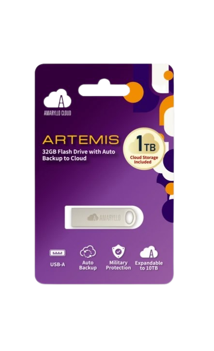 Amaryllo ARTEMIS 2-in-1 Cloud and ThumbDrive 32GB plus 1TB Cloud Storage USB 2.0 Flash Drive Silver New