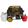 Firman H08053 8000W/10000W Dual Fuel Electric Start 50A Generator Manufacturer RFB