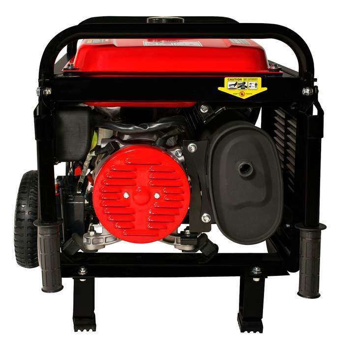 DuroStar DS4850EH 3850W/4850W Dual Fuel Electric Start Generator New